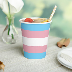 SlipperyJoe's transgender pride flag diversity rig Paper Cups
