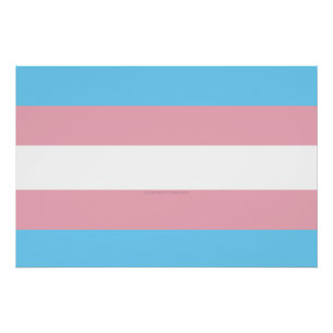 SlipperyJoe's transgender pride flag diversity rig Poster