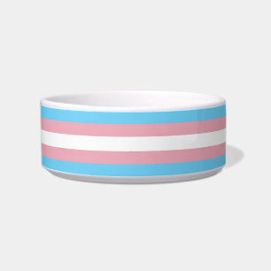 SlipperyJoe's transgender pride flag visibility di Bowl