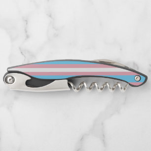 SlipperyJoe's transgender pride flag visibility di Corkscrew