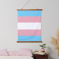 SlipperyJoe's transgender pride flag visibility di
