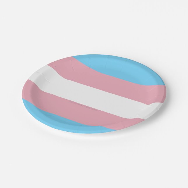 SlipperyJoe's transgender pride flag visibility di Paper Plate (Angled)