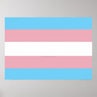 SlipperyJoe's transgender pride flag visibility di