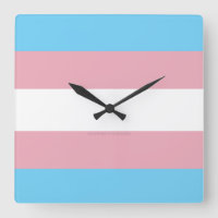 SlipperyJoe's transgender pride flag visibility di