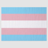 SlipperyJoe's transgender pride flag visibility di