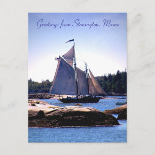 Sloop in Stonington Harbour Postcard