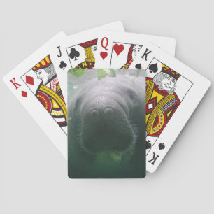 Sloppy Manatee Bicycle Playing Cards