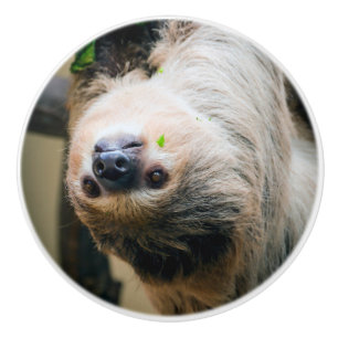Sloth 001 ceramic knob