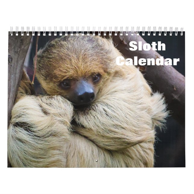 Sloth 2027 calendar (Cover)