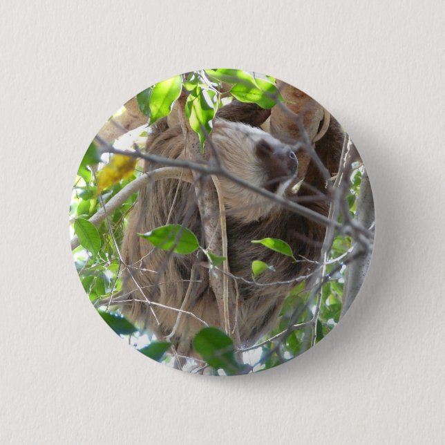 sloth 6 cm round badge (Front)