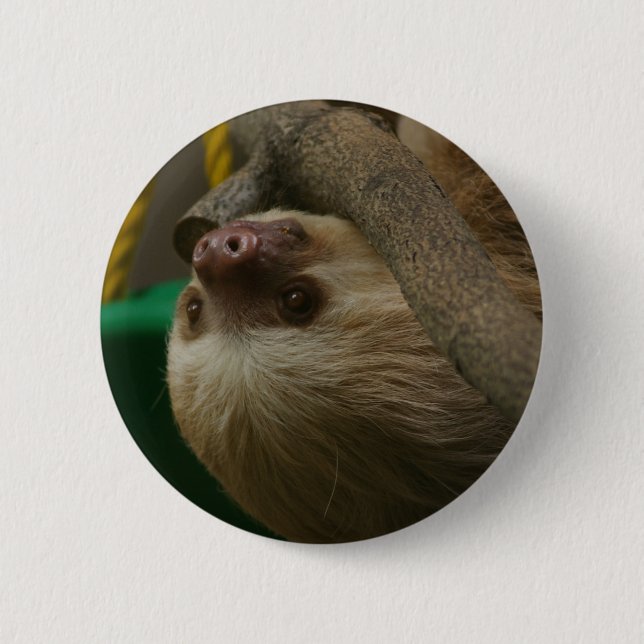 Sloth 6 Cm Round Badge (Front)