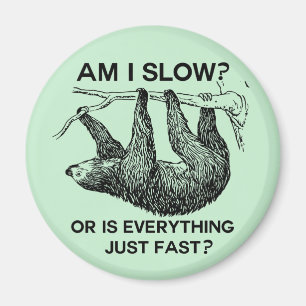 Sloth am I slow? Magnet