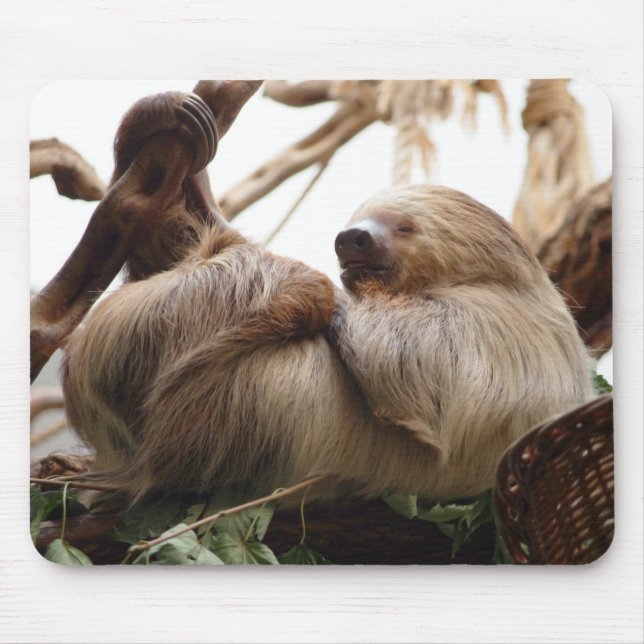 Sloth animal cute. mouse pad (Front)