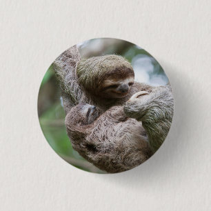 Sloth Baby with Mother Hanging from a Tree 3 Cm Round Badge