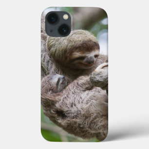 Sloth Baby with Mother Hanging from a Tree iPhone 13 Case