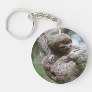 Sloth Baby with Mother Hanging from a Tree Key Ring