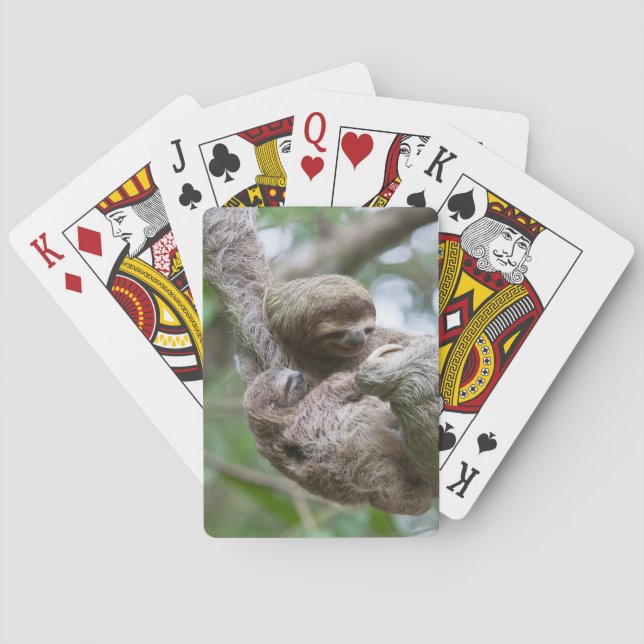 Sloth Baby with Mother Hanging from a Tree Playing Cards (Back)