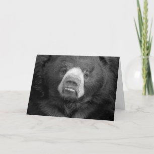 Sloth Bear #1-Greeting card
