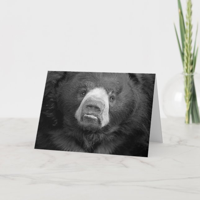 Sloth Bear #1-Greeting card (Front)