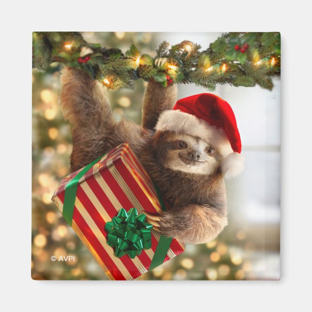 Sloth Bearing Gifts Magnet (Front)