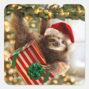 Sloth Bearing Gifts Square Sticker