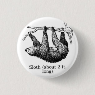 Sloth Button