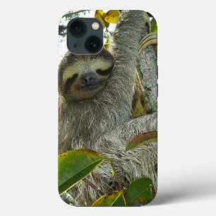 Sloth iPhone 13 Case