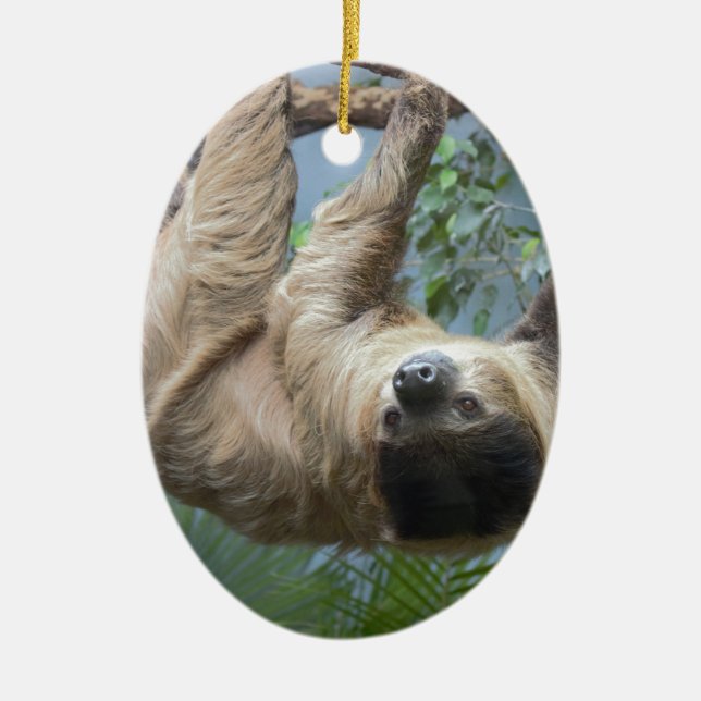 Sloth Ceramic Tree Decoration (Front)
