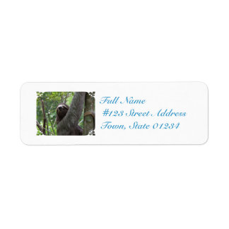 Sloth Climbing Tree