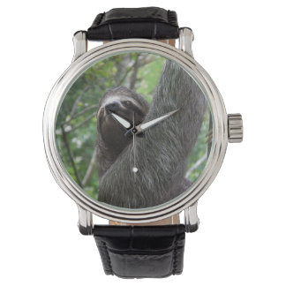 Sloth Climbing Tree Watch