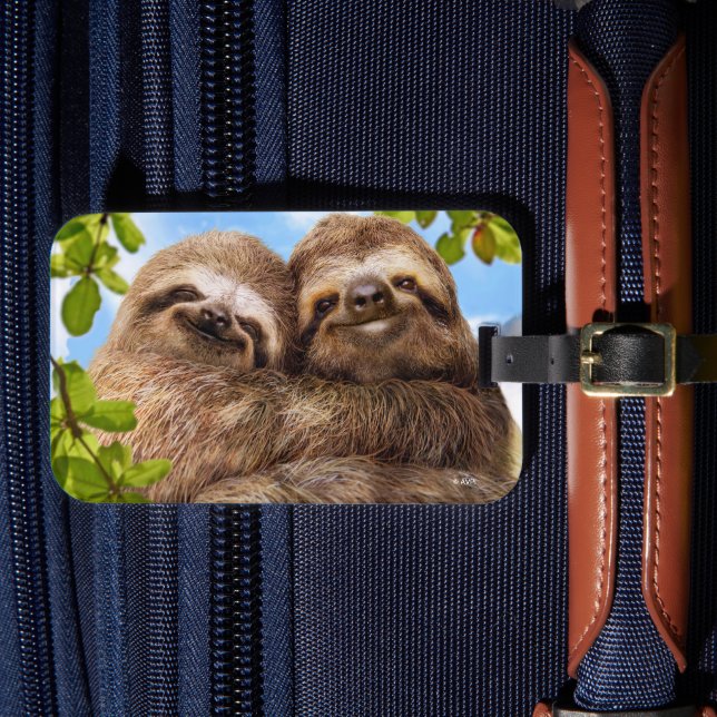 Sloth Couple Luggage Tag (Front Insitu 4)