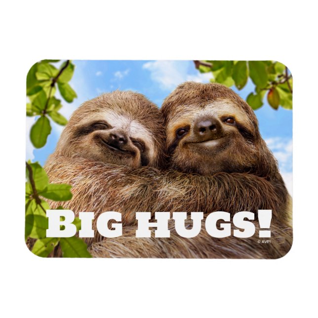 Sloth Couple Magnet (Horizontal)