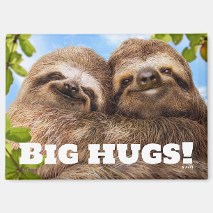 Sloth Couple Magnet