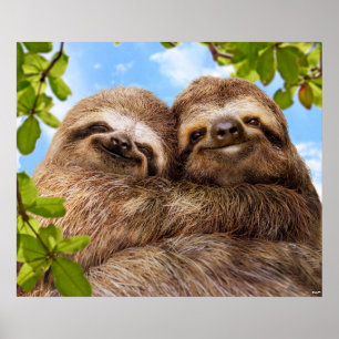 Sloth Couple Poster