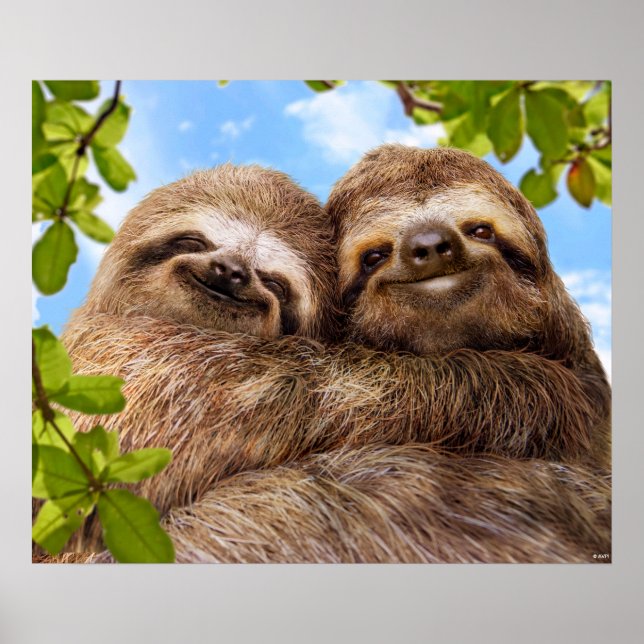 Sloth Couple Poster (Front)