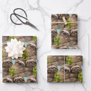 Sloth Couple Wrapping Paper Sheet