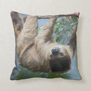 Sloth Cushion
