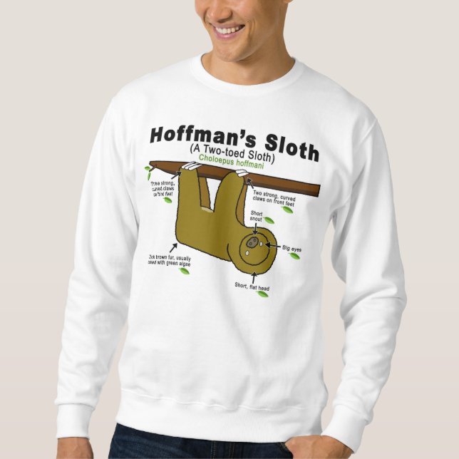 Sloth design sweatshirt (Front)