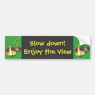 Sloth -enjoy the view bumper sticker