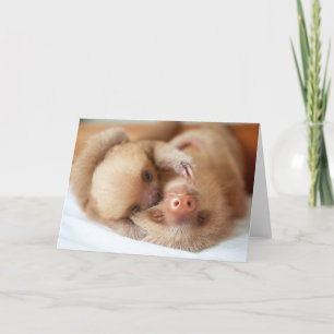 Sloth Greeting Card