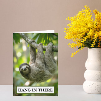 Sloth Hang In There Encouragement Card