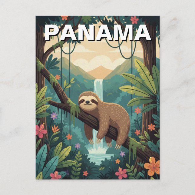 Sloth in rainforest Panama  Postcard (Front)