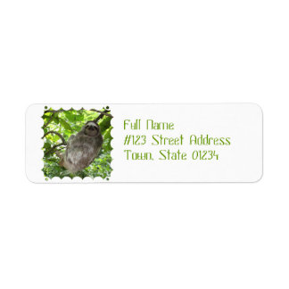 Sloth in Tree