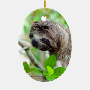 Sloth in tree Nicaragua Ceramic Tree Decoration