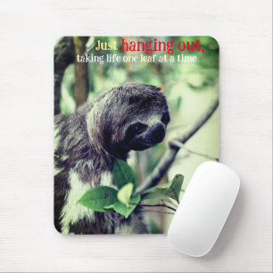 Sloth in tree photo mouse pad