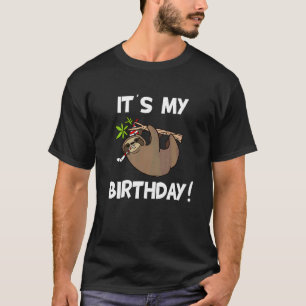 Sloth It's My Birthday Sloth T-Shirt