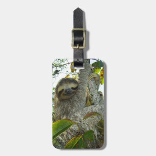 Sloth Luggage Tag