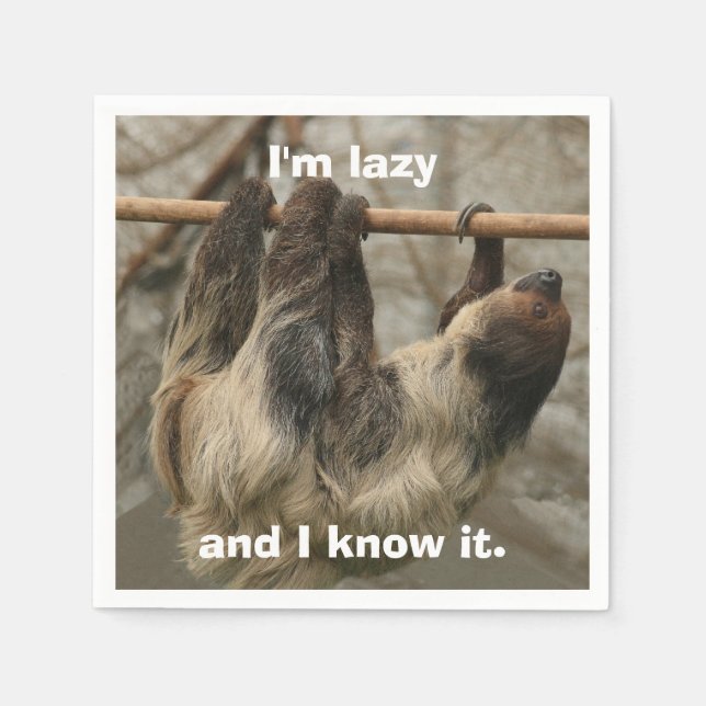 Sloth Napkin (Front)