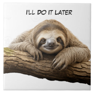 Sloth on a branch tile