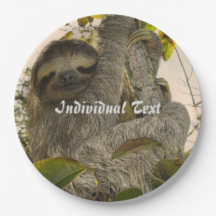 sloth paper plate
